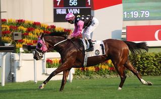 Beauty Generation (NZ) heads Karaka quinella in Celebration Cup. Photo: HKJC